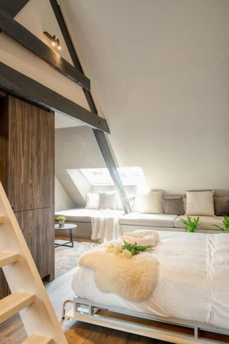 Charming Attic Retreat In Historic Center Gent